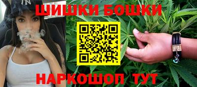 гашик Нальчик