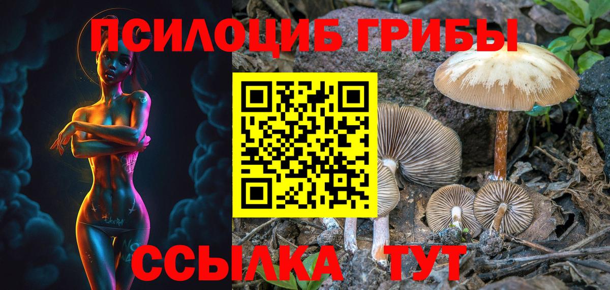 Галлюциногенные грибы Magic Shrooms  Вход с VPN  Славянск-на-Кубани 