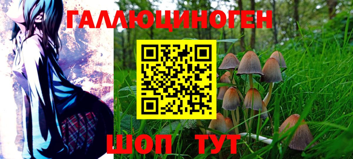 Галлюциногенные грибы Psilocybine cubensis Славянск-на-Кубани
